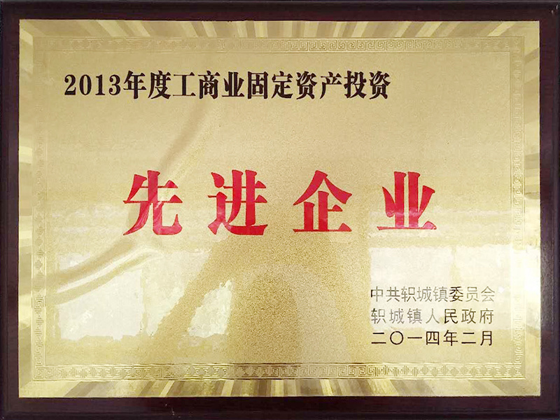2013年度工(gōng)商(shāng)業固定資産(chǎn)投資先進企業